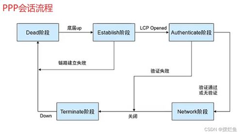 網絡技術開發中的NAT、PPP協議及其在現代信息與軟件技術中的作用